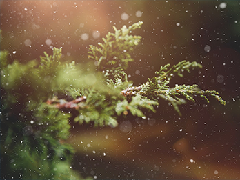 holiday_option_3