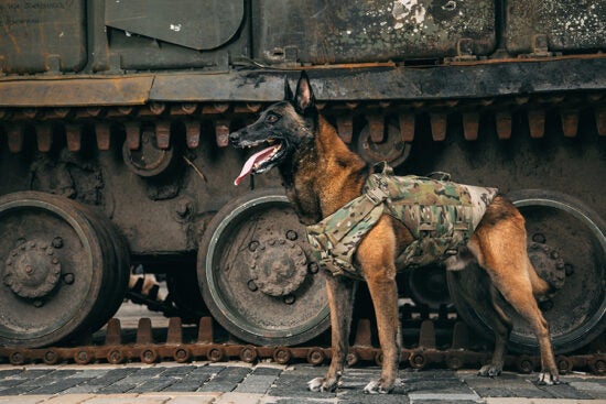 Honoring K9 Veterans Day