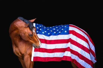 Military Family Clinic and Customs House Museum Team Up for 4th Annual Cohen Clinic Community Art Show 1